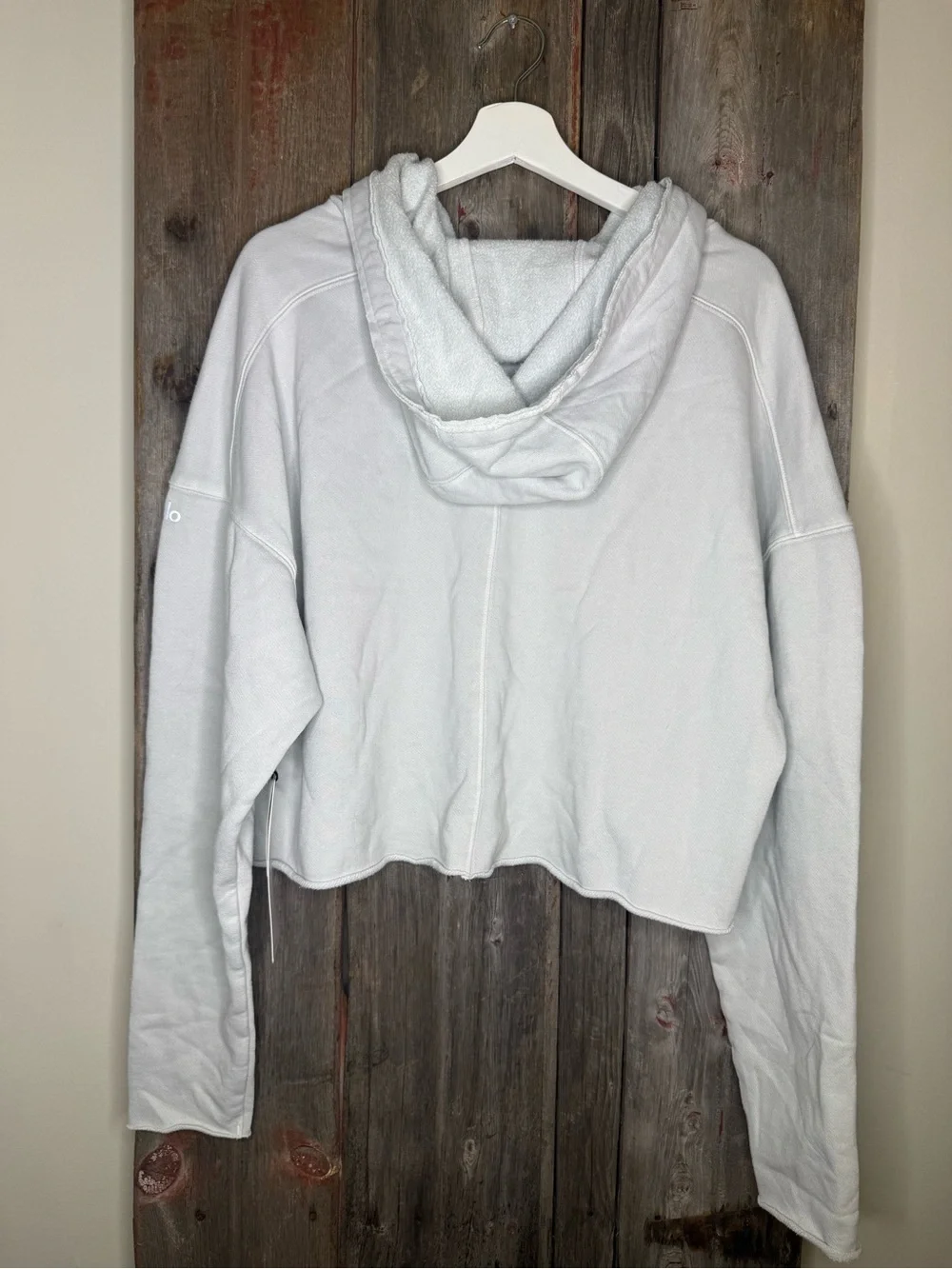 NWT ALO Yoga Washed Edge Hoodie in Chalk like Gray Cropped Boxy Large
